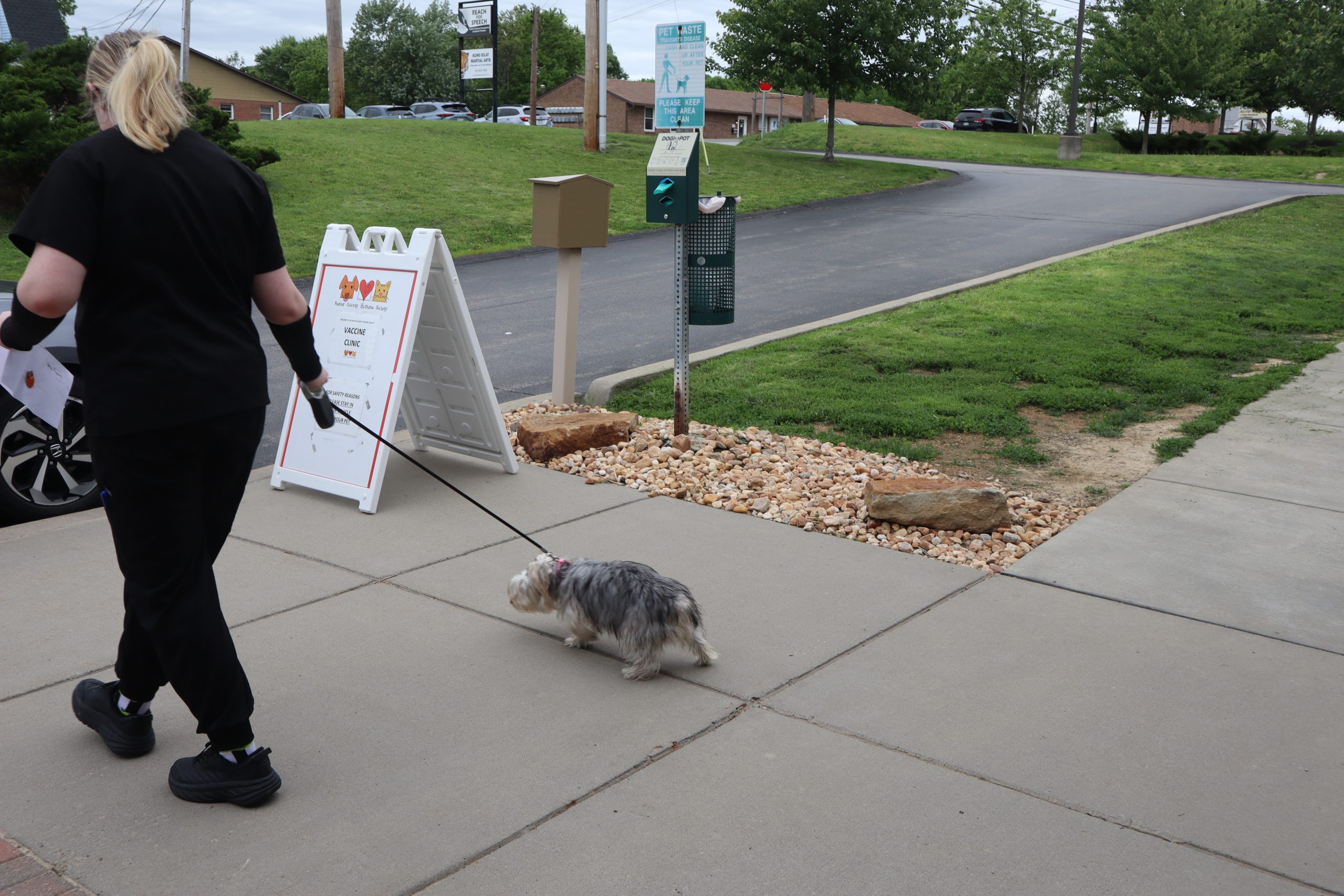 Veterinary assistant taking a small dog on a leash toward a car waiting in the Vaccine Clinic line.