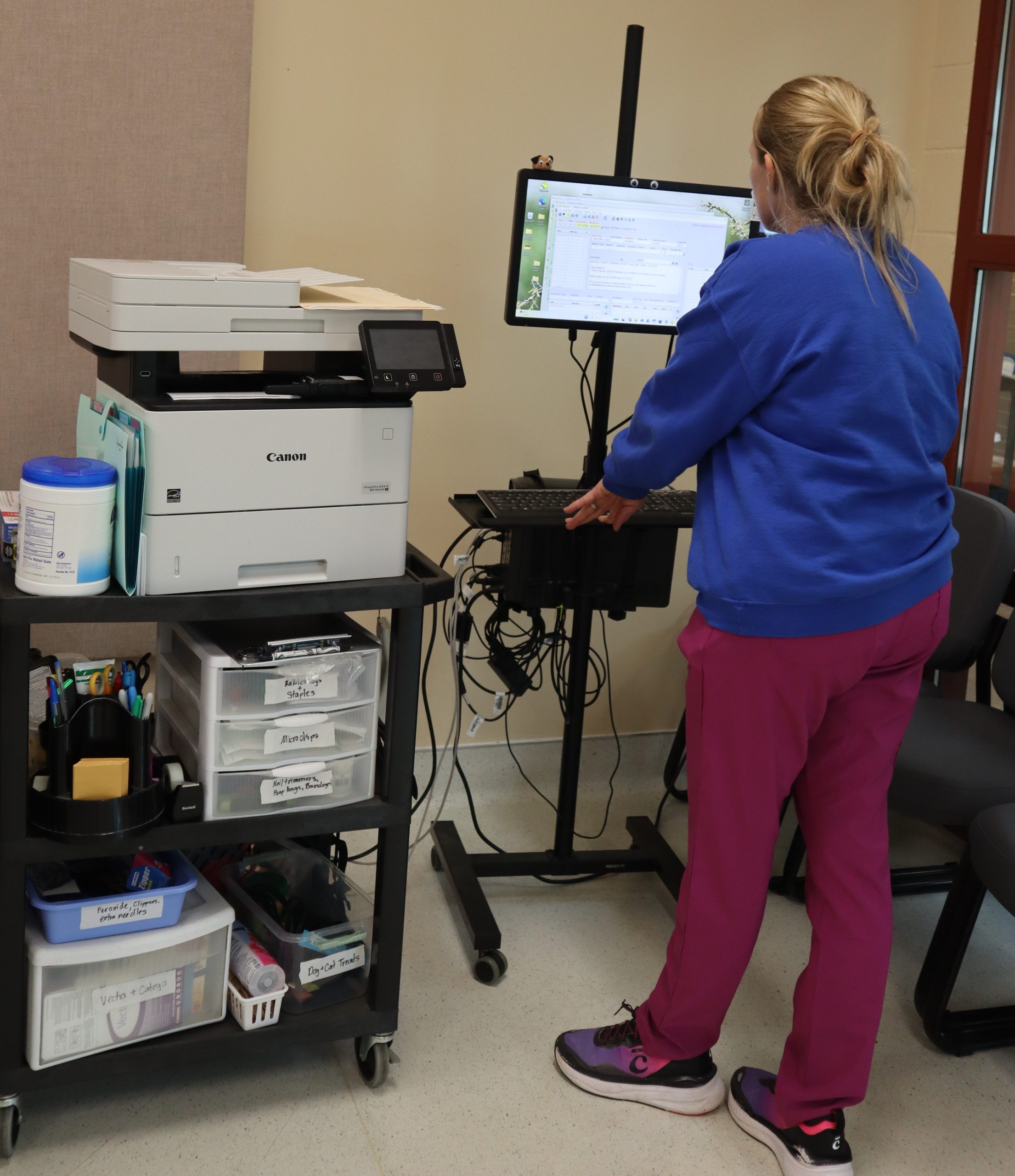 Veterinary clinician standing at a computer.