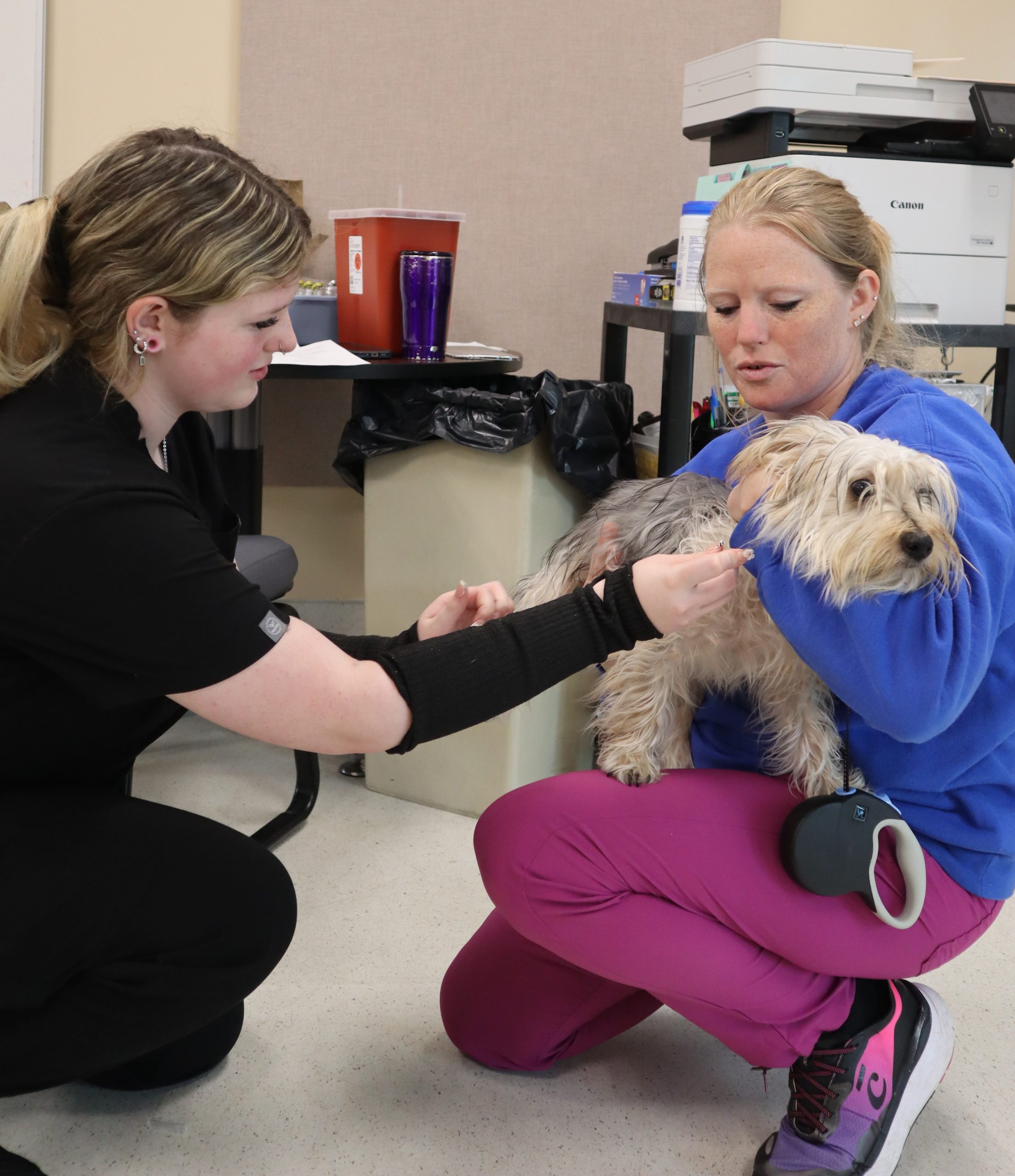 Two women veterinary technicians holding a small dog during vaccine clinic.